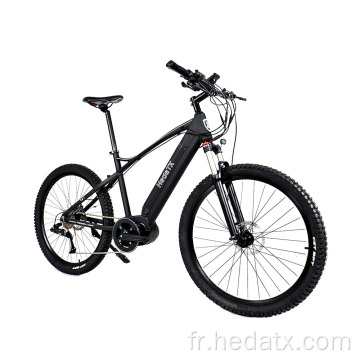 Vélo de montagne électrique à vendre